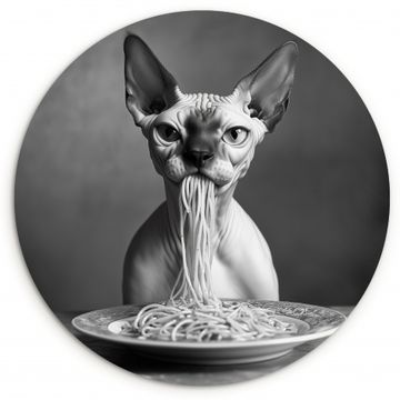 Sphynx - Kat - Dieren - Humor - Spaghetti - Zwart Wit