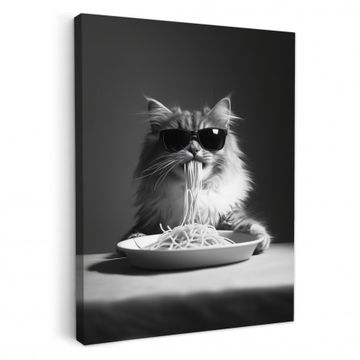 Langharige kat - Zonnebril - Spaghetti - Humor - Zwart - wit