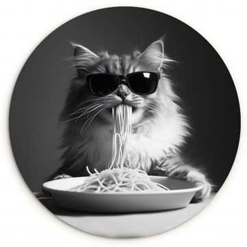 Langharige kat - Zonnebril - Spaghetti - Humor - Zwart - wit