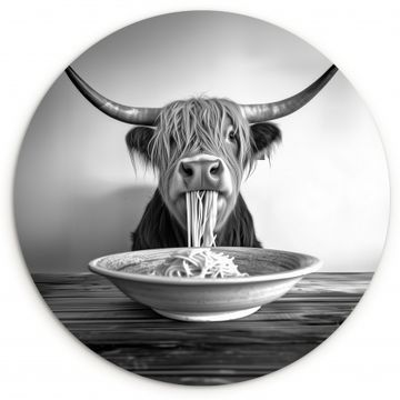 Schotse Hooglander - Spaghetti - Dieren - Zwart wit