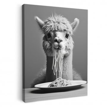 Alpaca - Pasta - Zwart - Wit - Grappig - Dieren